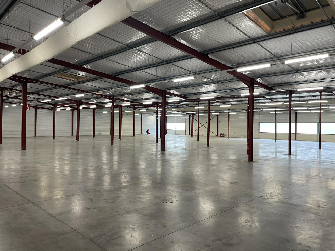Local d'activité Saint-Médard-d'Eyrans 3280m² Location local d'activité Saint-Médard-d'Eyrans Gironde OLACT2316440 0